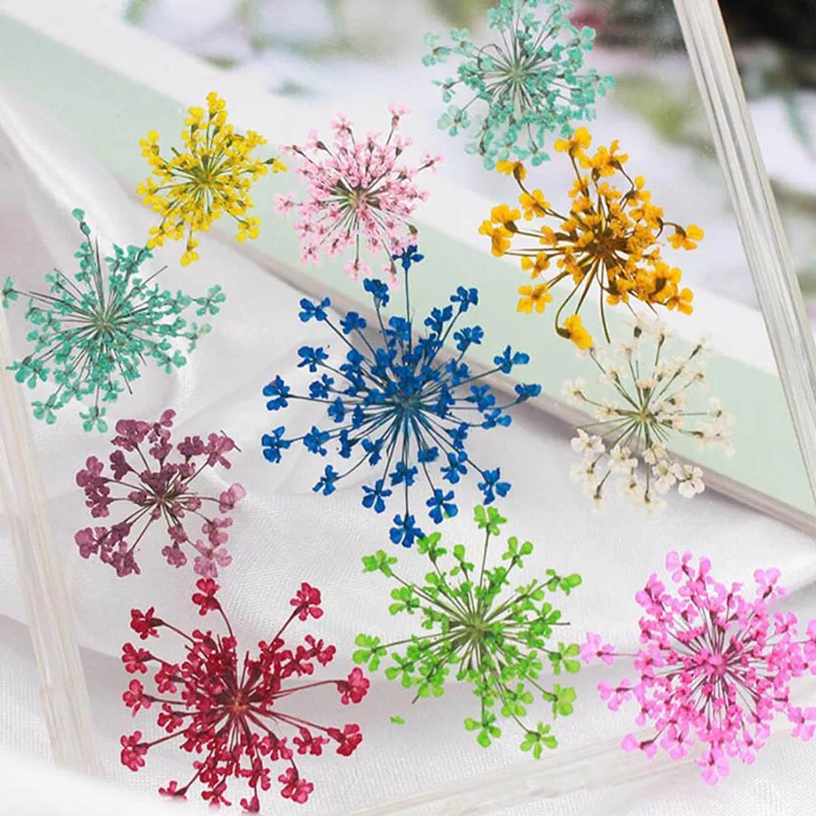 Dried Flower Bookmark - 60 Stück gepresste getrocknete 20–25 mm