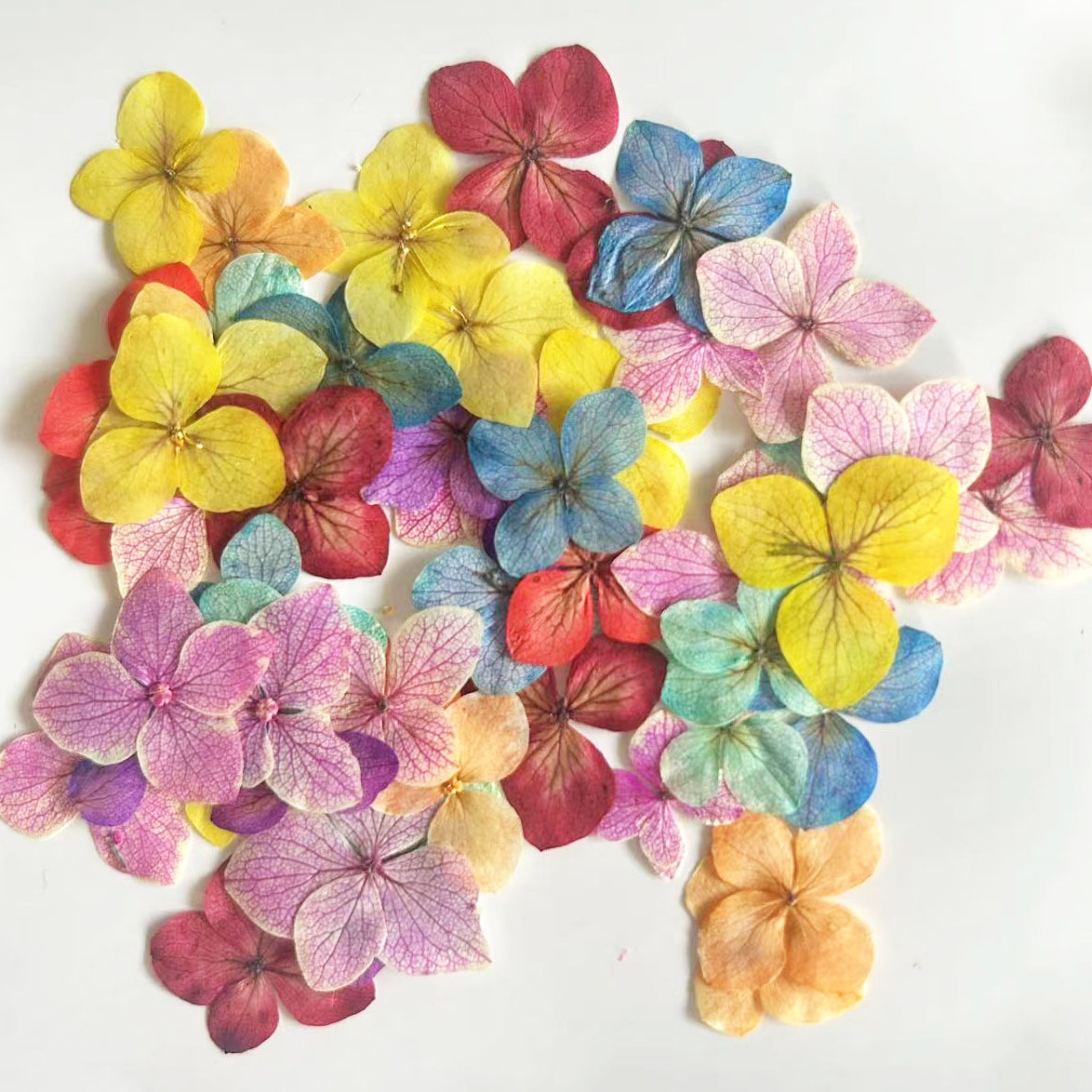60 Stück Anna Hortensien Farba – Dried Flower Bookmark Bewertung und Preis