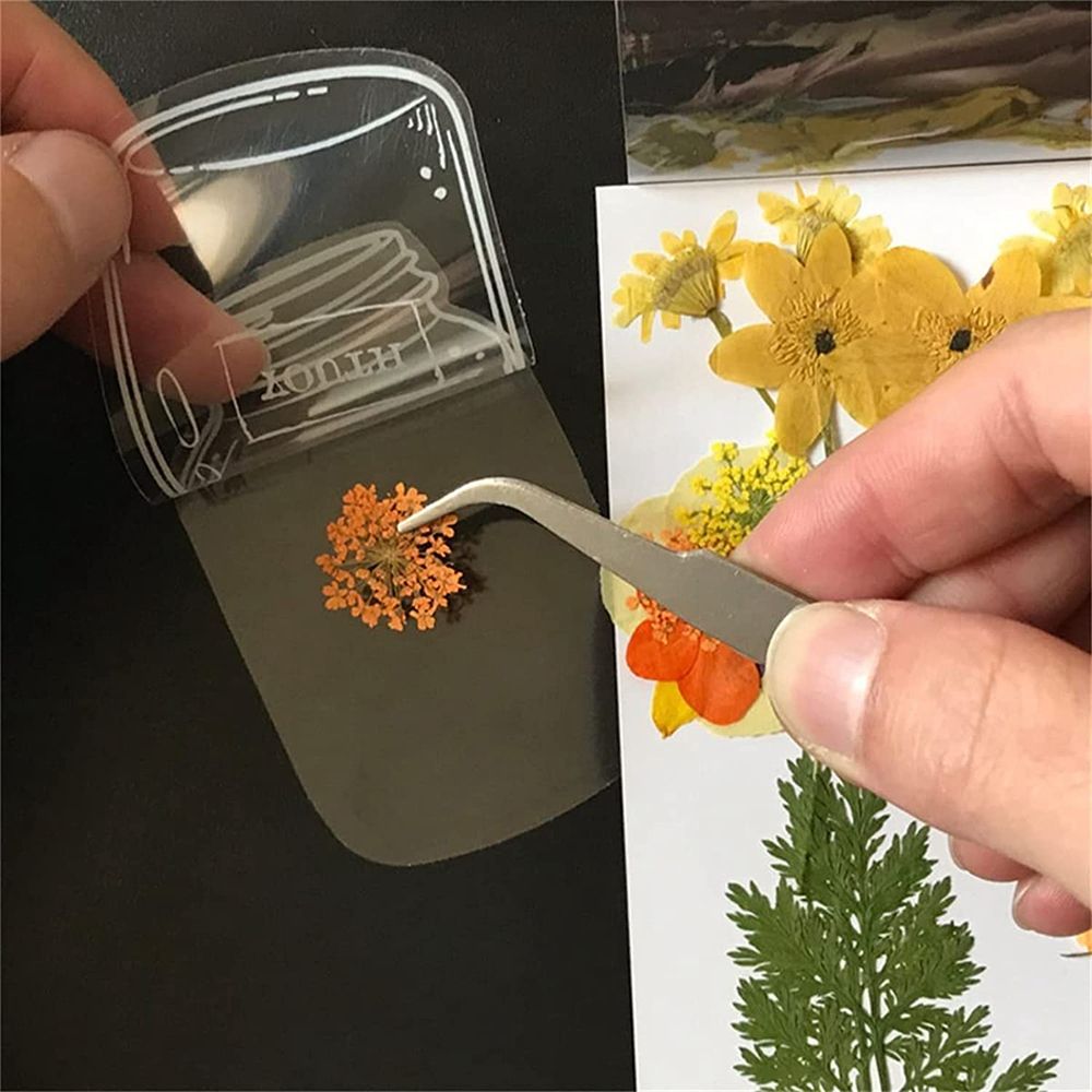 30 Stück handgemachte DIY tran – Dried Flower Bookmark Bewertung und Preis