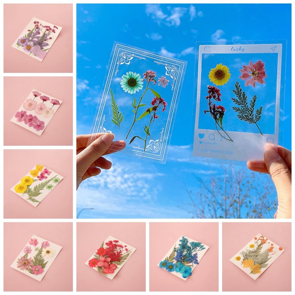 DIY-Materialien DIY Trockenblu – Dried Flower Bookmark Bewertung und Preis
