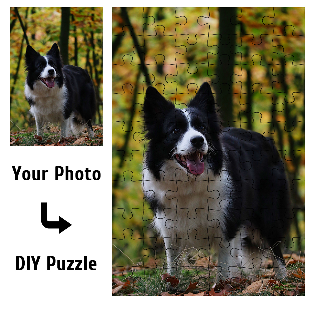 Individuelles Fotopuzzle - Per – Pet Portrait Custom Bewertung und Preis