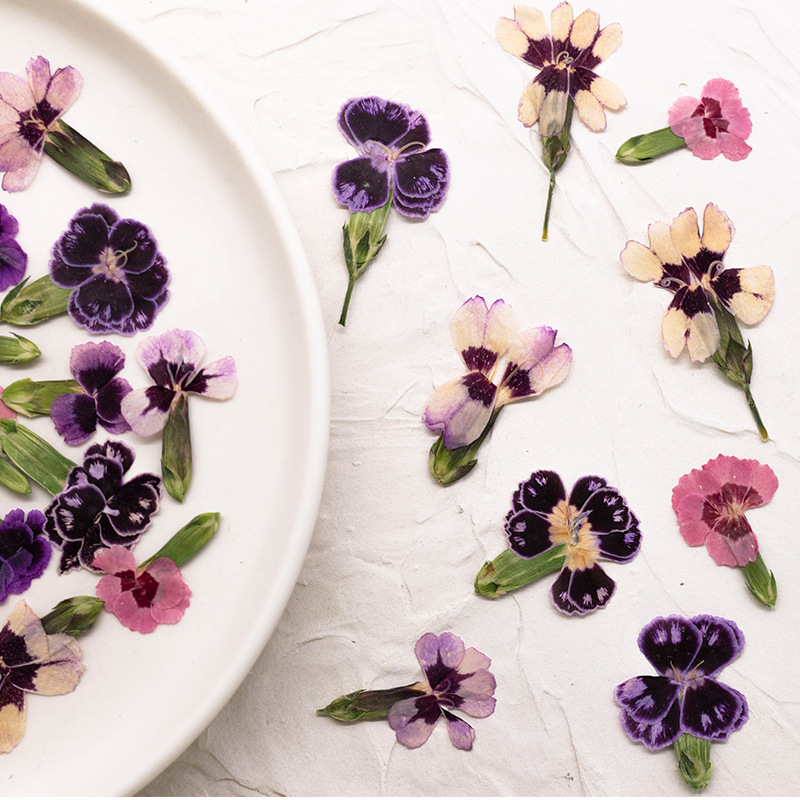 24 Stück, gepresste getrocknet – Dried Flower Bookmark Bewertung und Preis