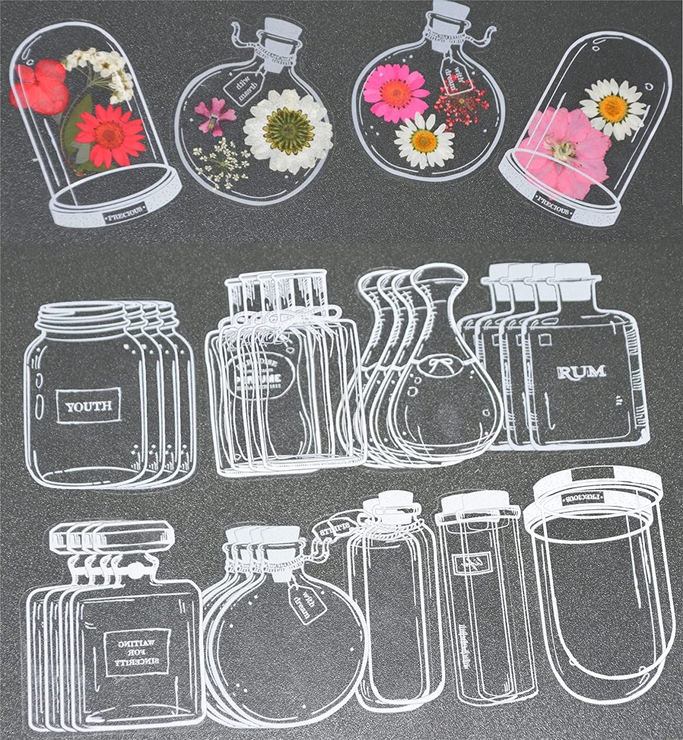 30 Stück transparente getrockn – Dried Flower Bookmark Bewertung und Preis