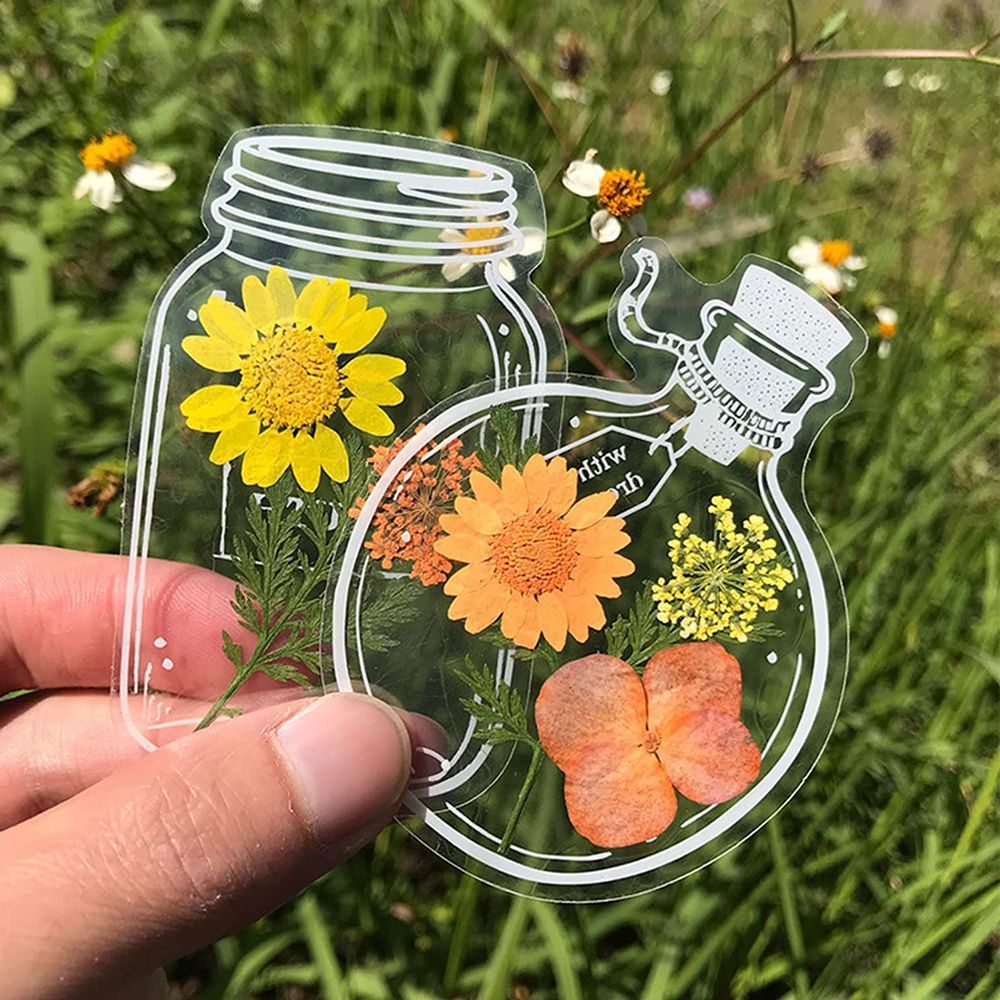 30 Stück transparente getrockn – Dried Flower Bookmark Bewertung und Preis
